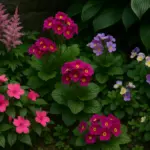 Quali sono le piante da fiore che resistono all’ombra? Scegli varietà che colorano anche gli angoli meno luminosi