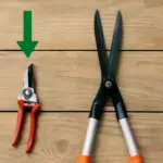 Qual è la differenza tra forbici da pota e cesoie? Il trucco per individuarle a colpo d’occhio