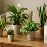 Piante che purificano l’aria in casa: le varietà davvero efficaci secondo studi indipendenti